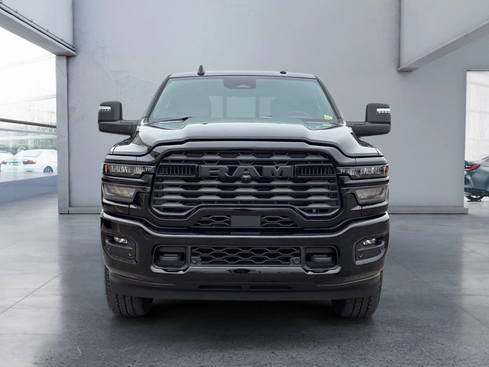 New 2027 Diamond Black Crystal Pearl Ram Big Horn image 8