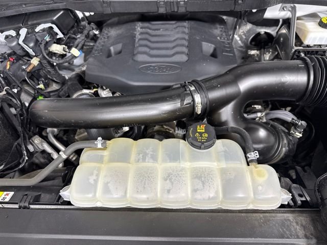 Used 2023 White Ford XLT image 9