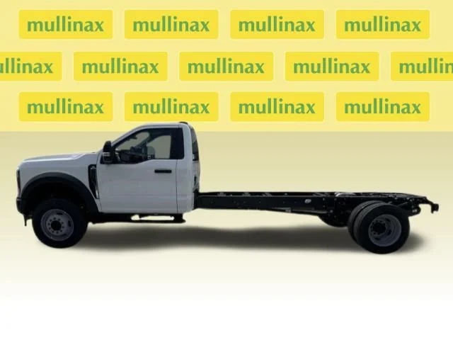 New 2024 White Ford XL image 2