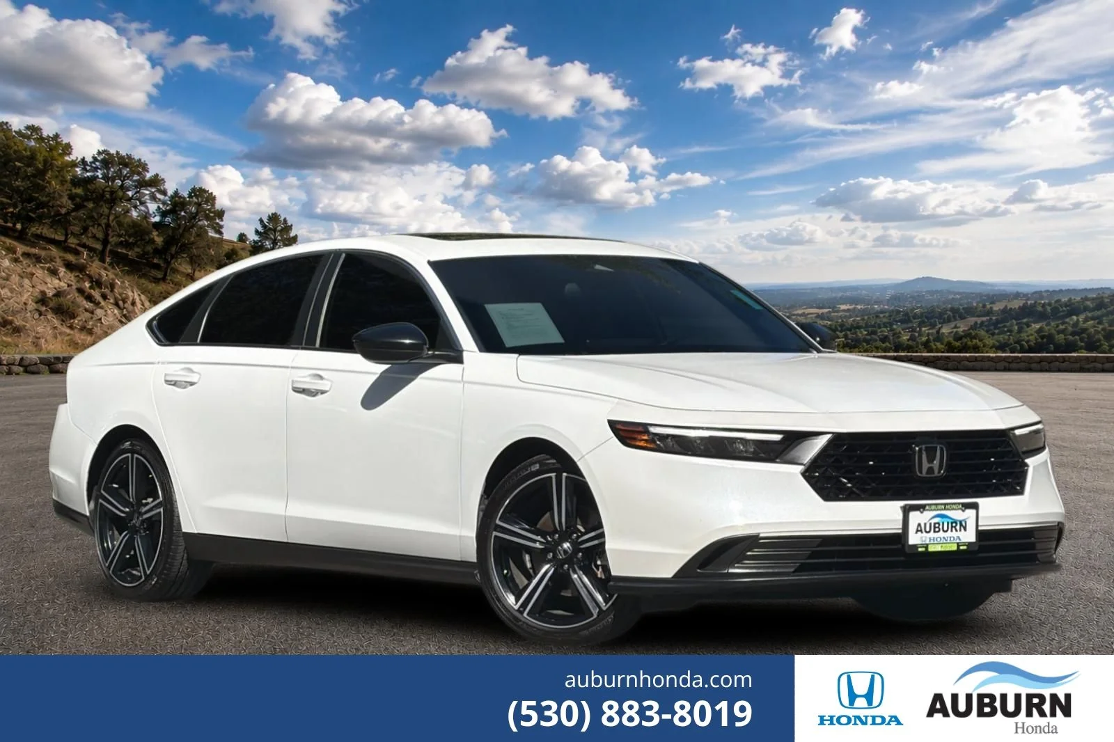 Used 2023 Platinum White Pearl Honda Sport image 1