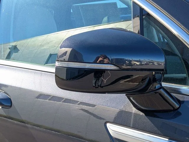 New 2025 Panthera Metal Kia S image 10