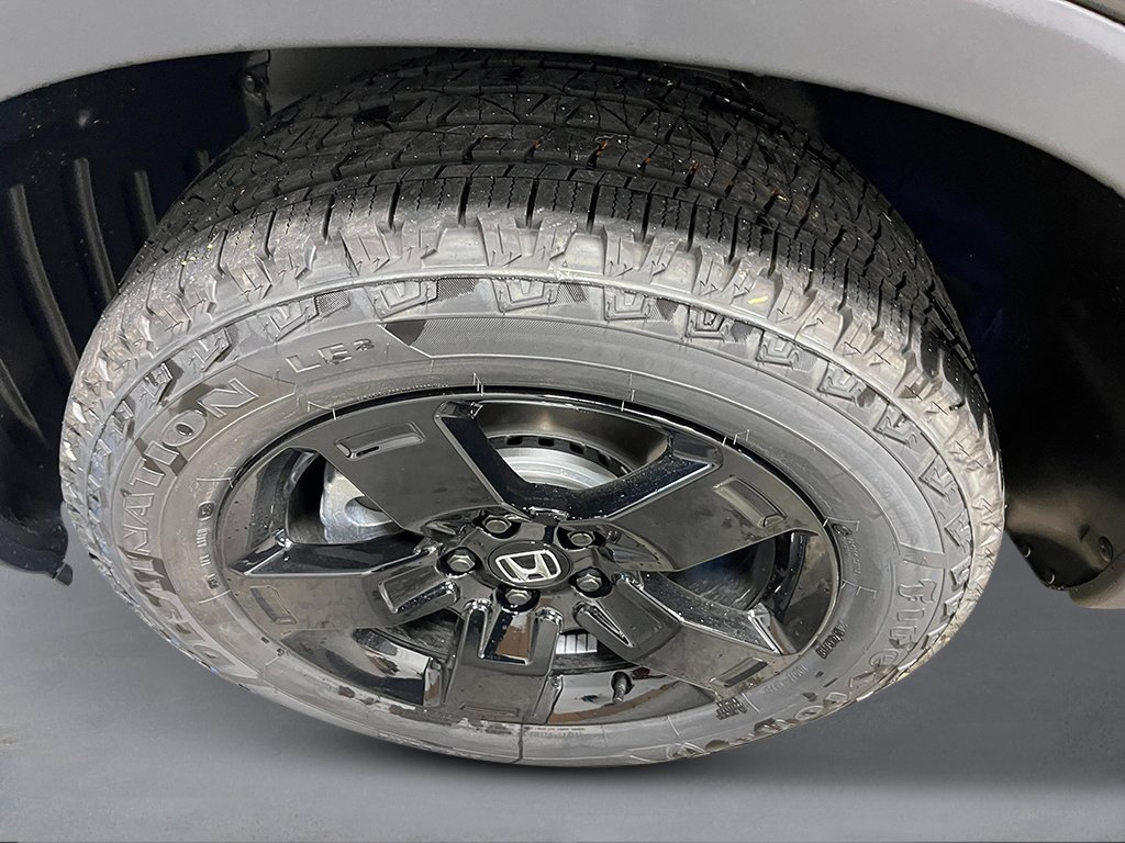 New 2026 Crystal Black Pearl Honda Black Edition image 11