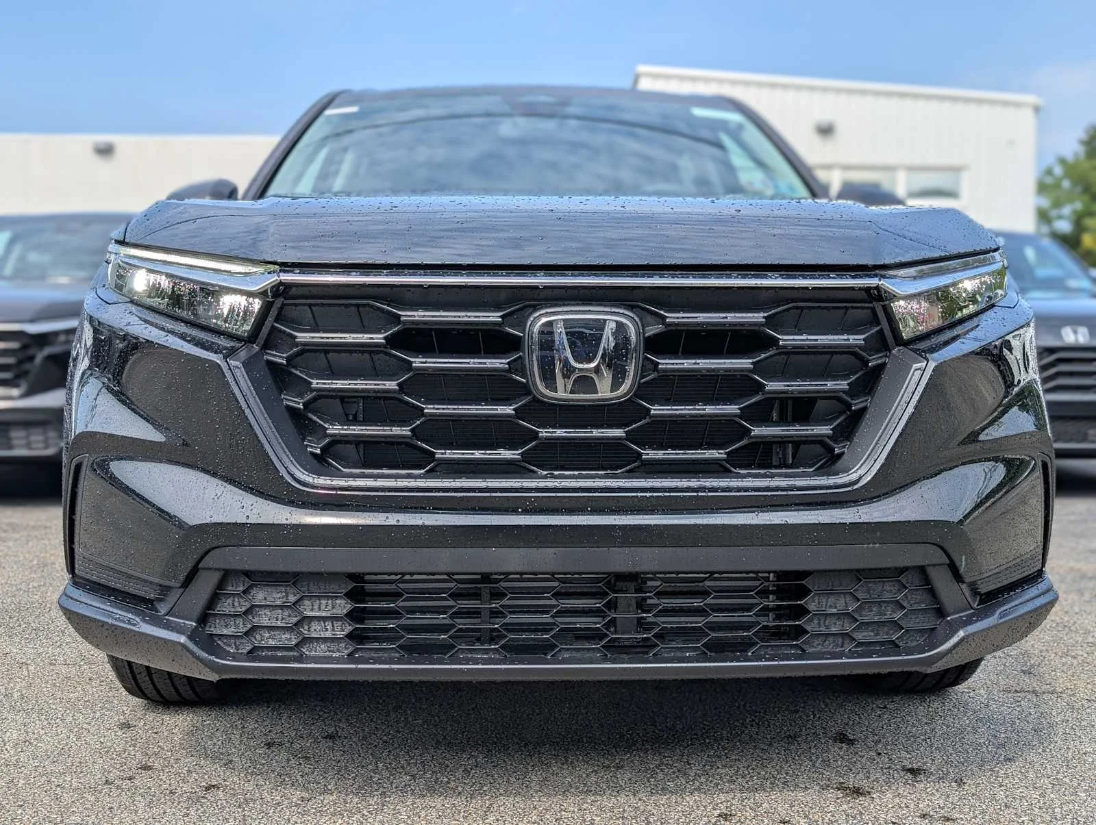 New 2026 Crystal Black Pearl Honda LX image 2