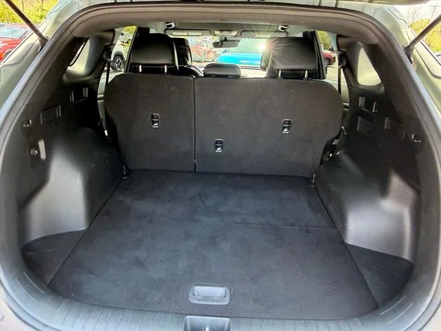 Used 2023 Green Kia X-Line image 26