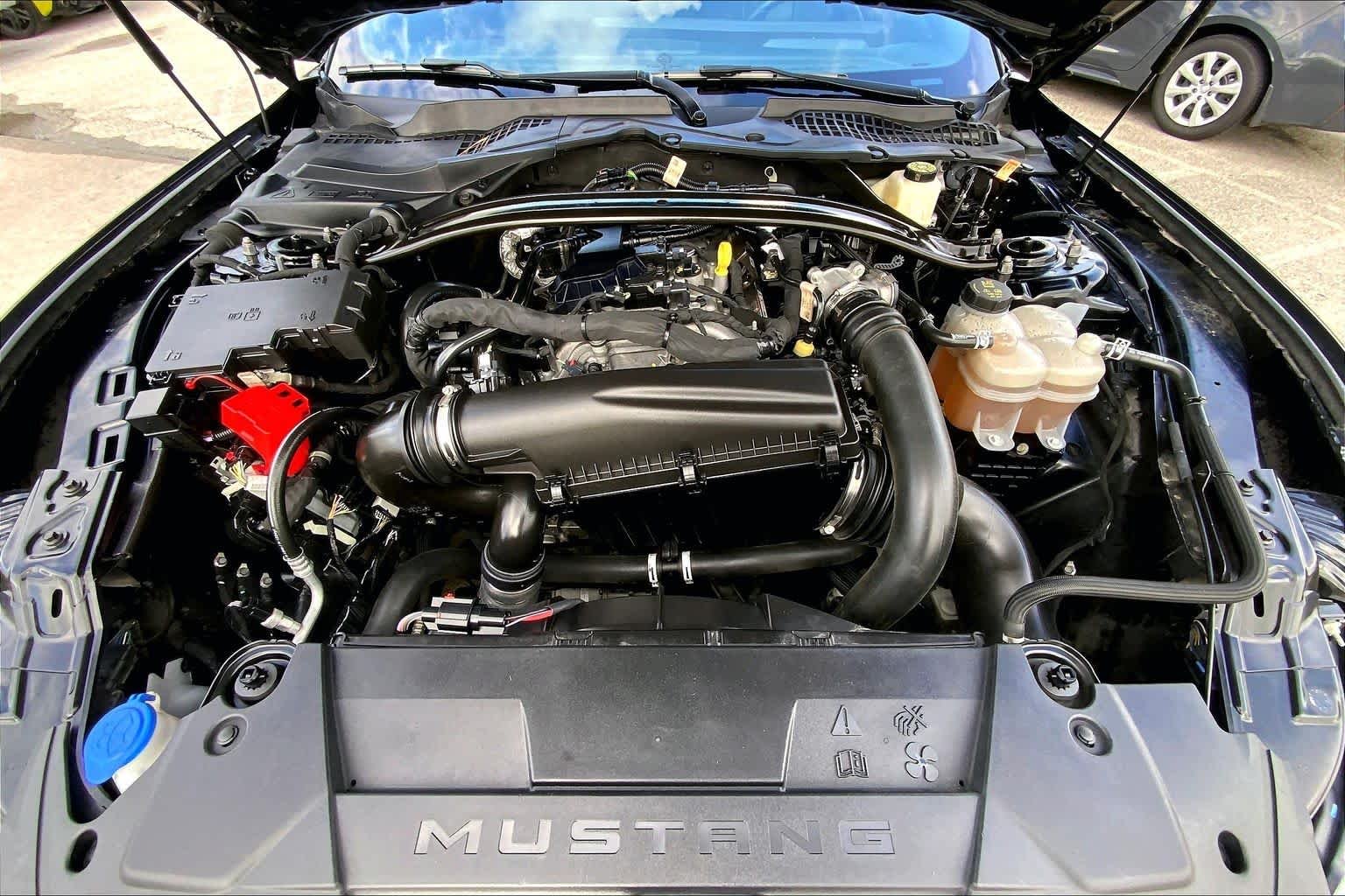 Used 2024 Shadow Black Ford EcoBoost Premium image 31
