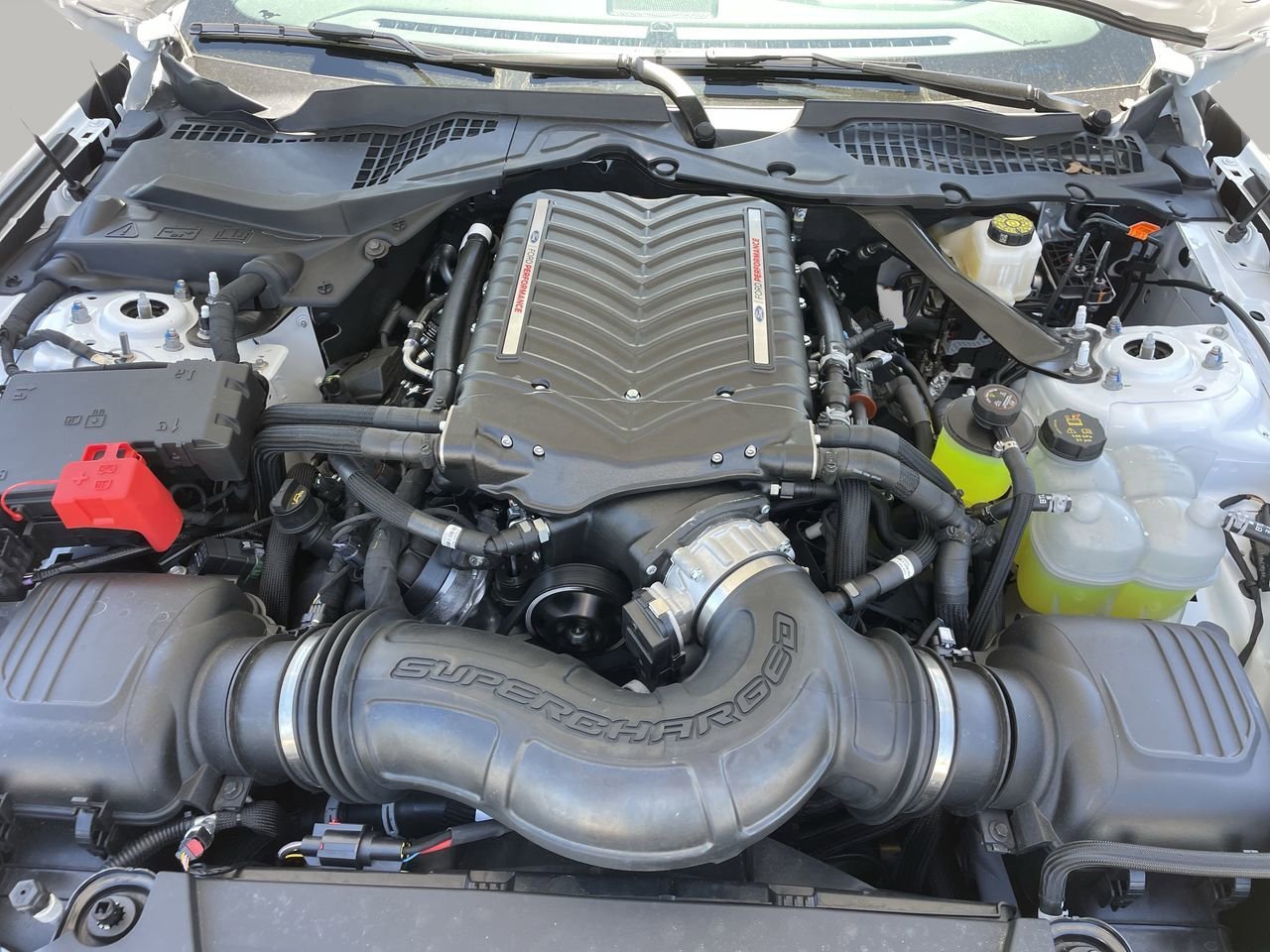 New 2026 Oxford White Ford RTR Spec 3 image 10