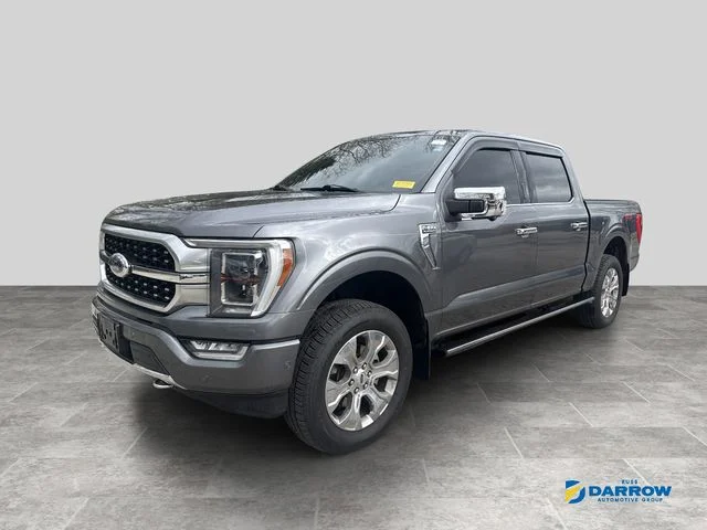 Used 2021 Gray Ford Platinum image 1