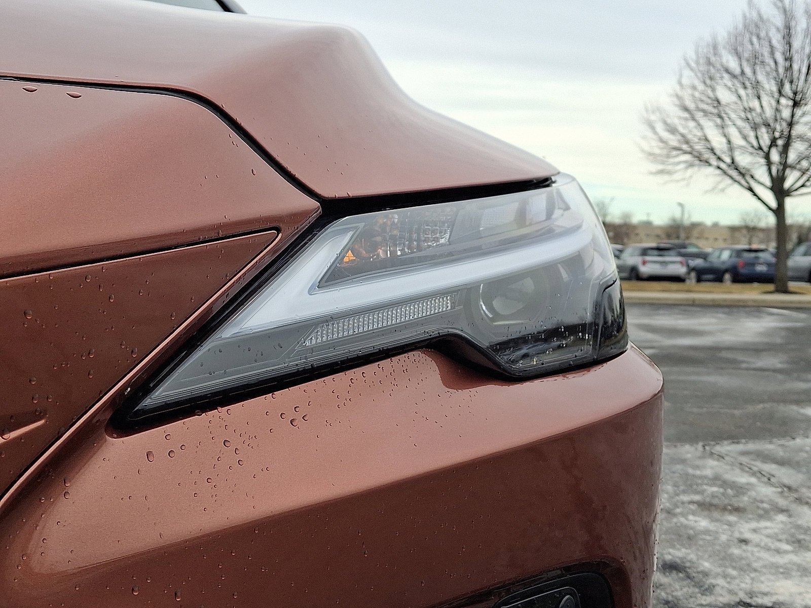 2025 Lexus RX 350 - Photo 9