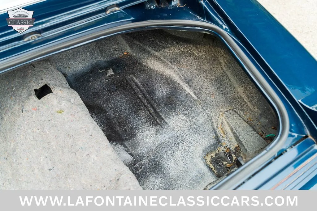 Used 1974 Blue Pontiac Trans Am image 15