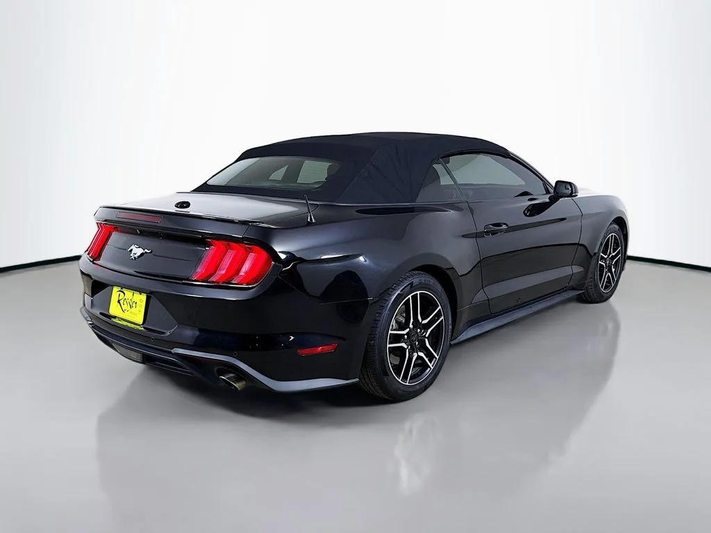 Used 2019 Black Ford EcoBoost Premium image 6