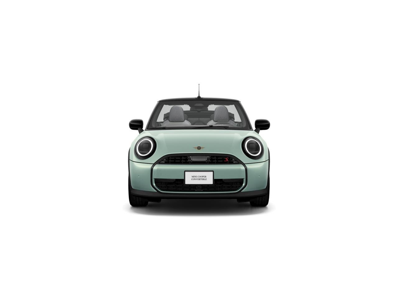 New 2026 Ocean Wave Green Metallic MINI SIGNATURE PLUS image 2