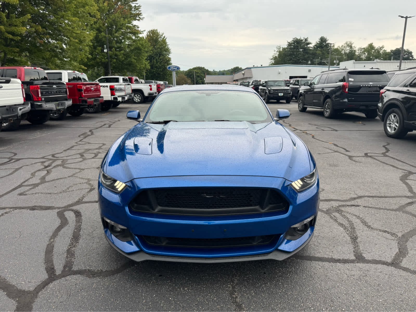 Certified Used 2017 Lightning Blue Ford GT image 9
