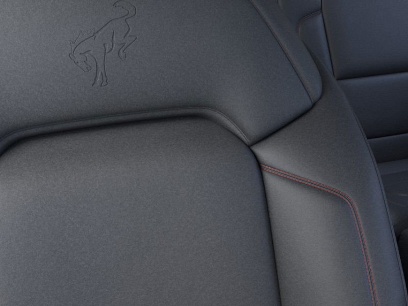 New 2025 Oxford White Ford Stroppe Edition image 18