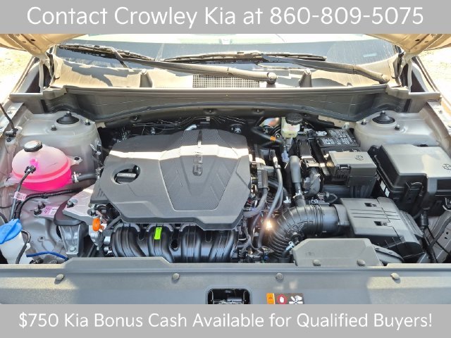 New 2027 Road Rider Brown / Black Roof Kia X-Line image 57