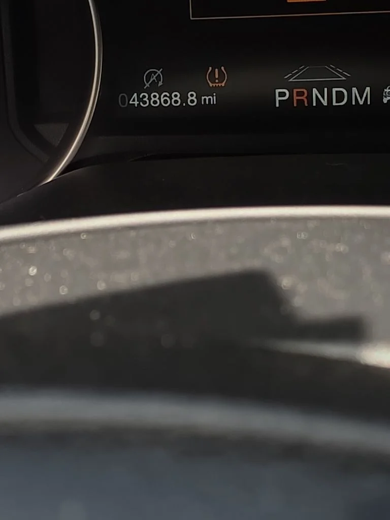 Used 2019 Gray Ford Raptor image 25