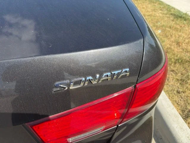 Used 2009 Brown Hyundai GLS image 5