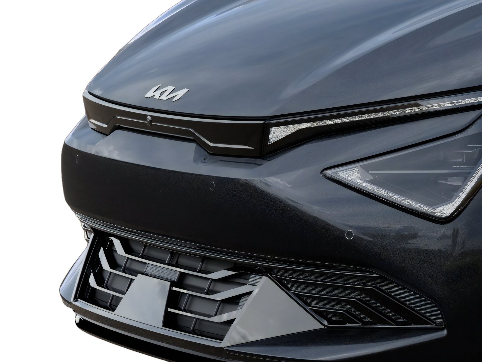 New 2026 Panthera Metal Kia LIGHT image 12