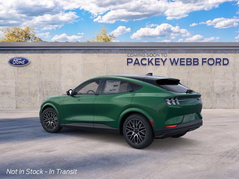 New 2026 Eruption Green Metallic Ford Premium image 5