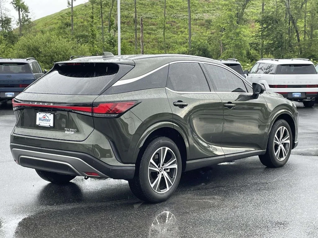 2025 Lexus RX 350 - Photo 29
