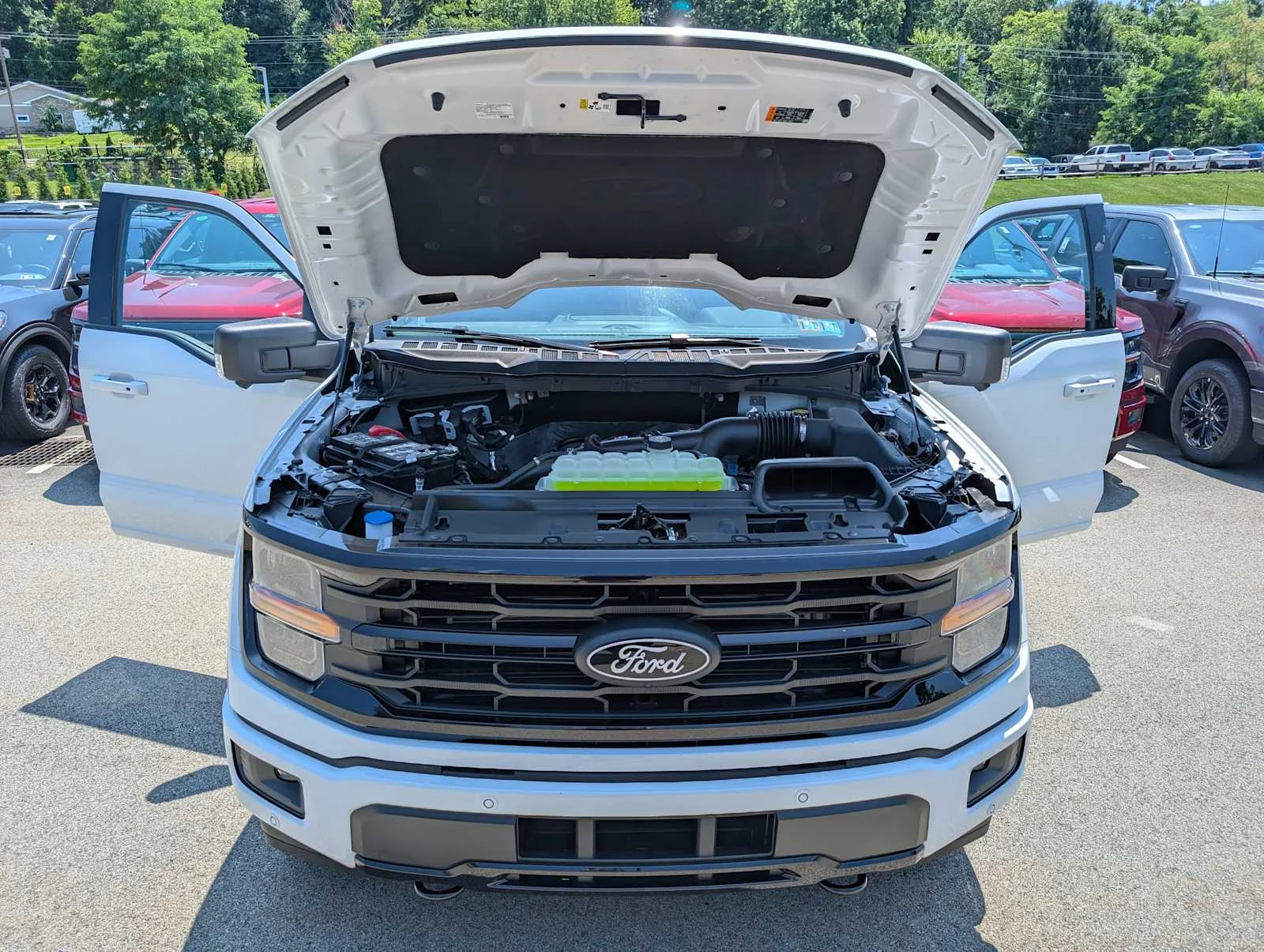 New 2026 Oxford White Ford XLT image 10
