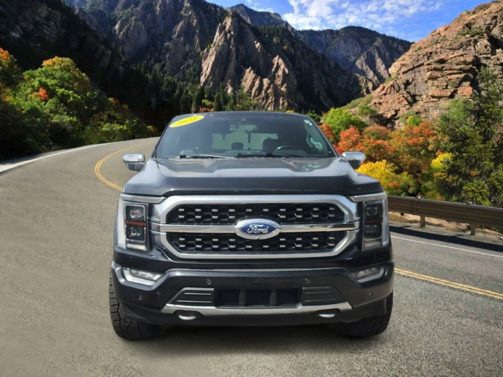 Used 2021 Black Ford Platinum image 6