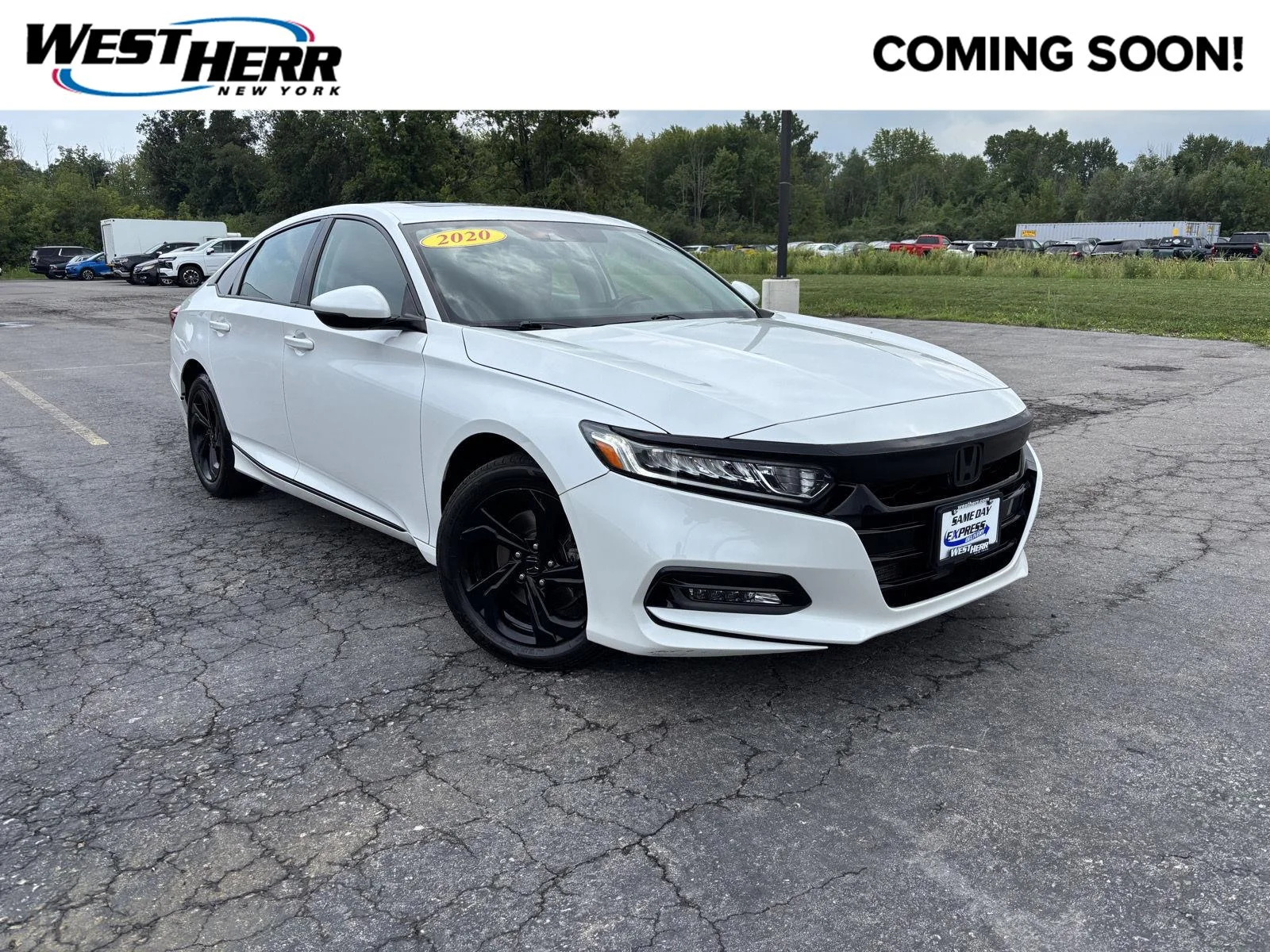 Used 2020 Platinum White Pearl Honda EX-L image 1
