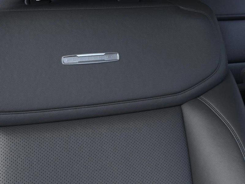 New 2025 Silver Ford Platinum image 16