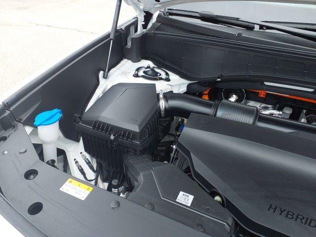 New 2026 White Pearl Hyundai Blue SEL image 18