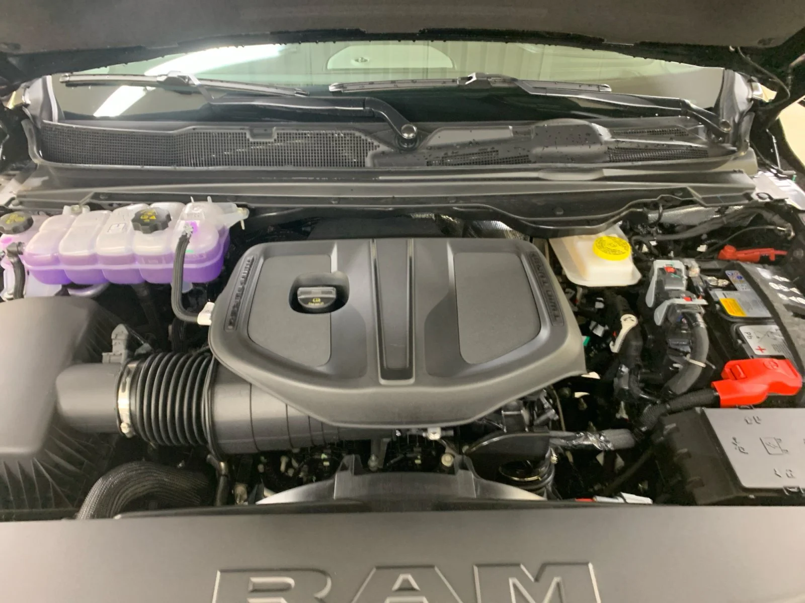 New 2026 Diamond Black Crystal Pearl Ram Sport image 20