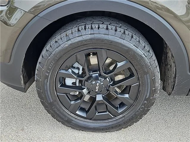 Used 2024 Dark Moss KIA SX-Prestige X-Pro All-Wheel Drive image 8