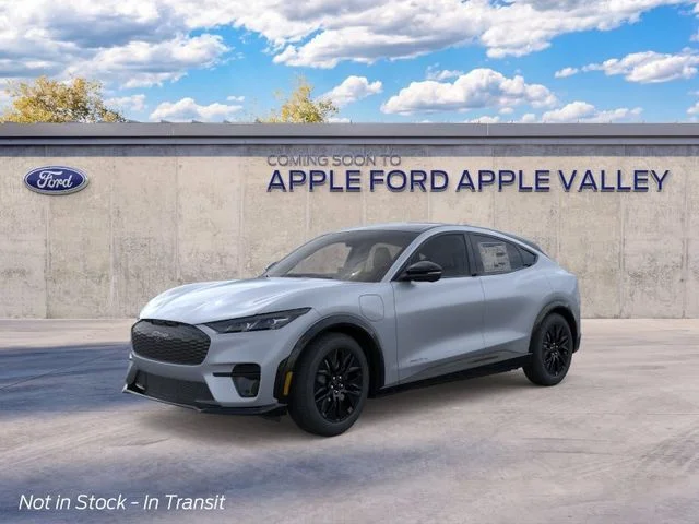 New 2026 Gray Ford Premium image 1