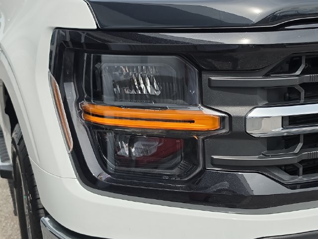 2025 Ford F-150 XLT - Photo 11