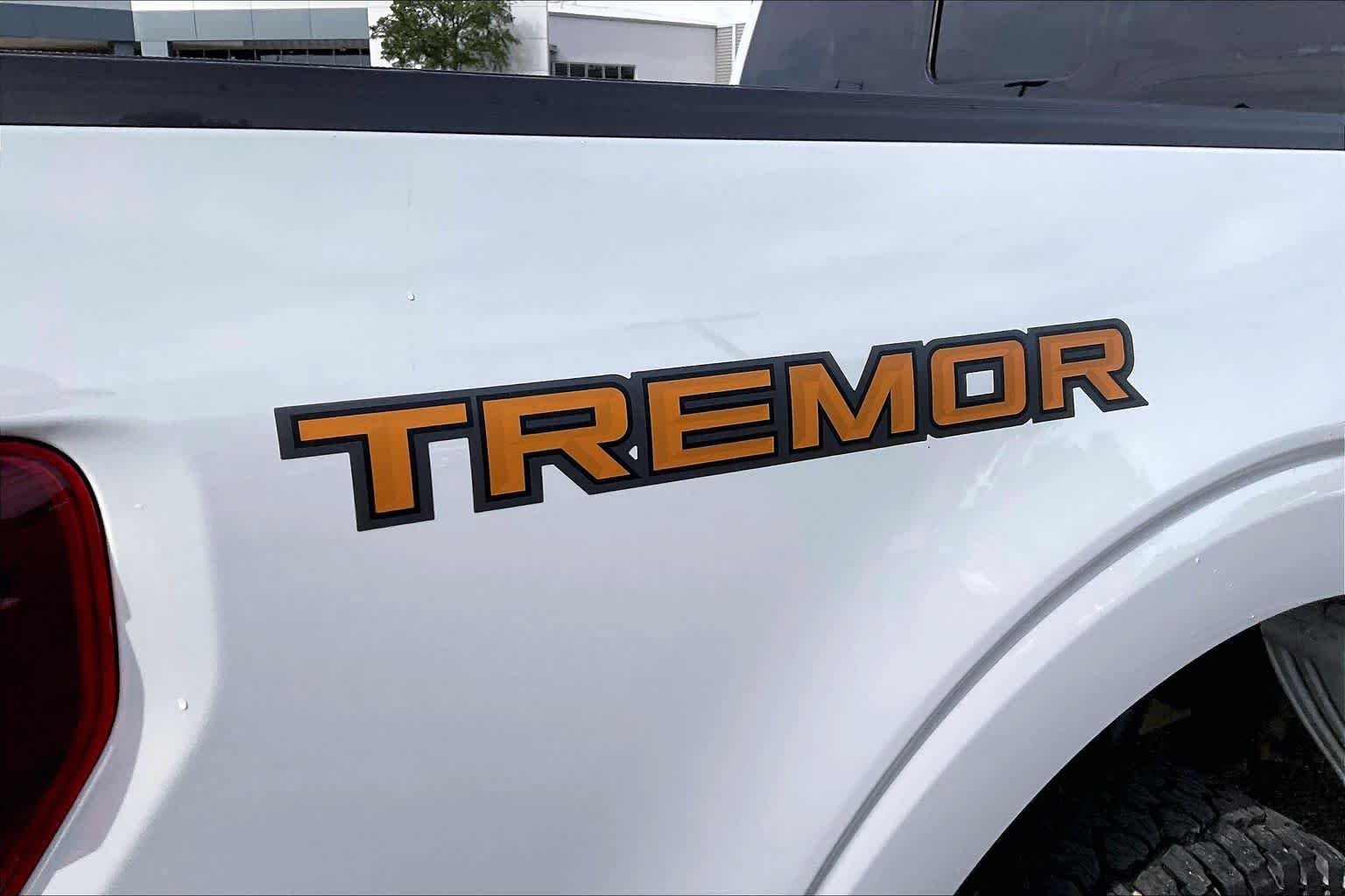 Used 2024 Avalanche Ford Tremor image 29