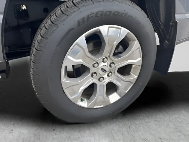 Used 2021 Gray Ford Platinum image 19