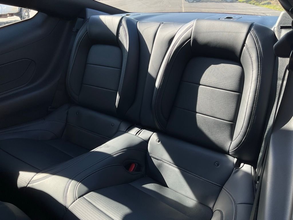 2026 Ford Mustang EcoBoost Premium Fastback - Photo 10