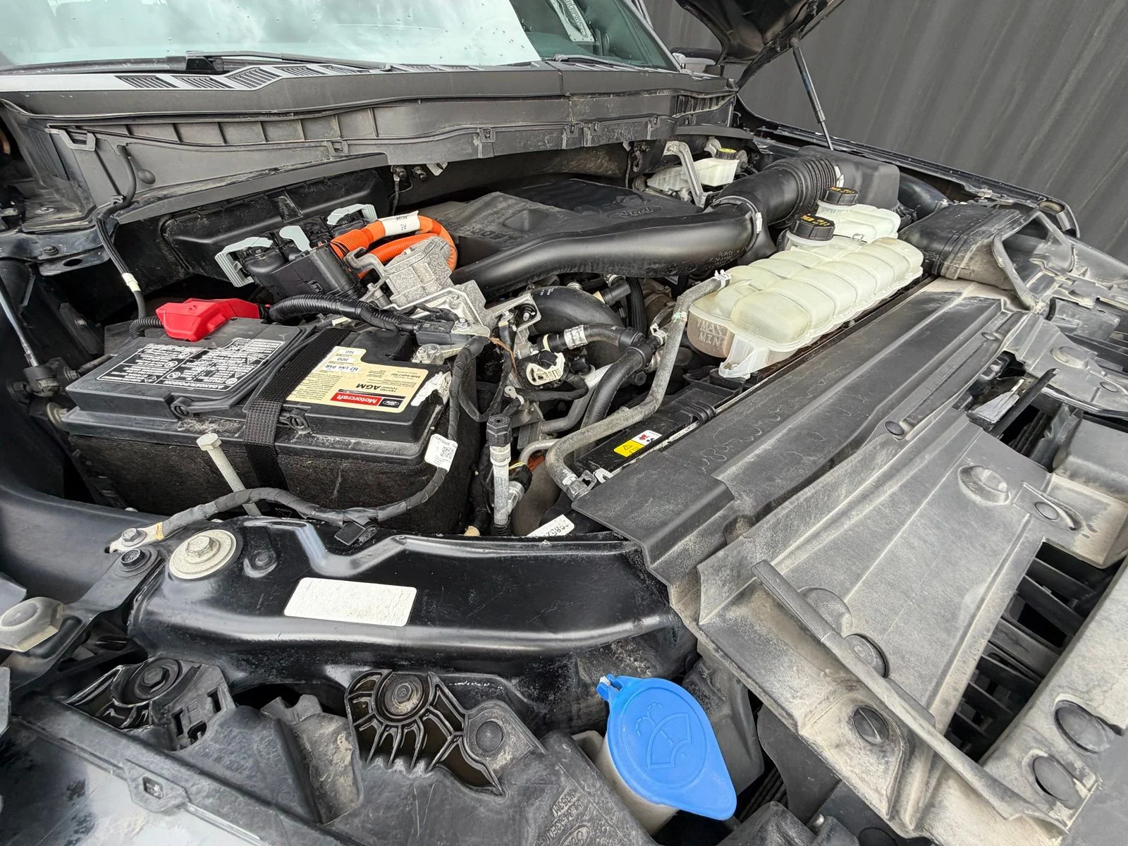 Used 2023 Black Ford Platinum image 34