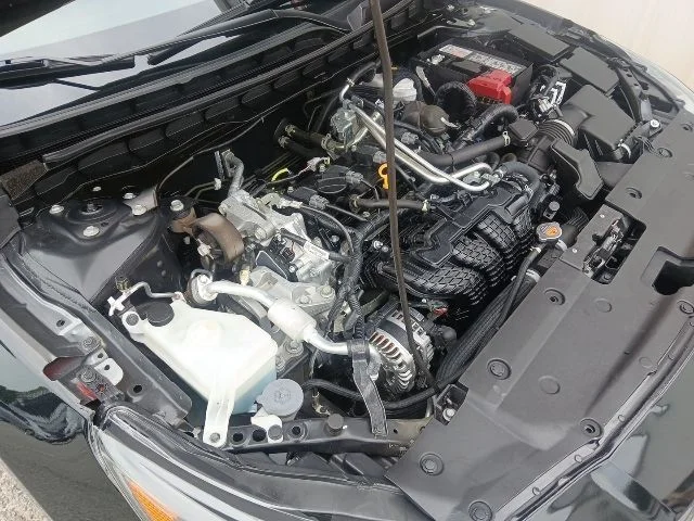 View 41