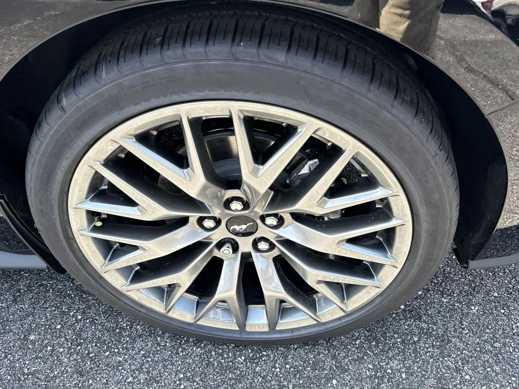 New 2026 Black Ford EcoBoost Premium image 16