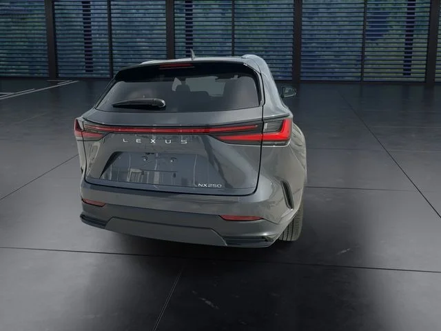Used 2025 Gray Lexus 250 Premium image 7