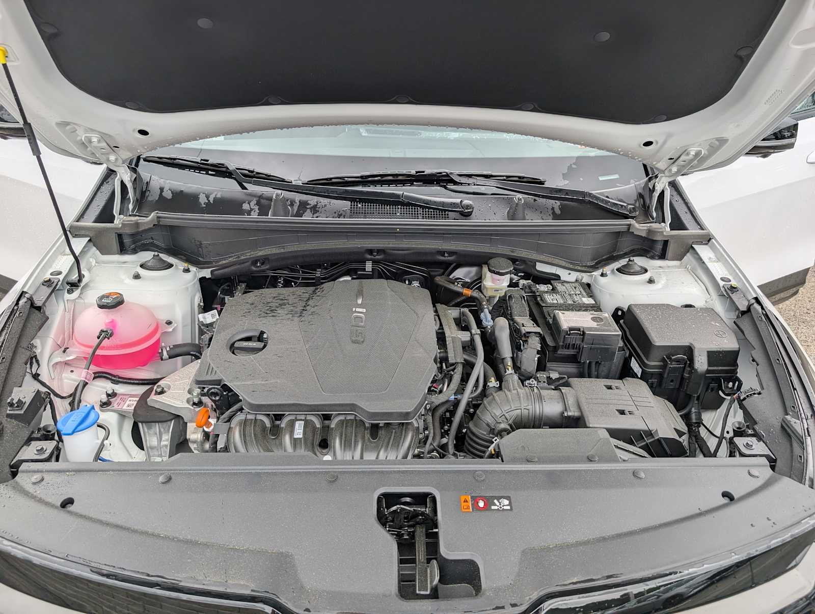 New 2026 Glacial White Pearl Kia X-Line image 11