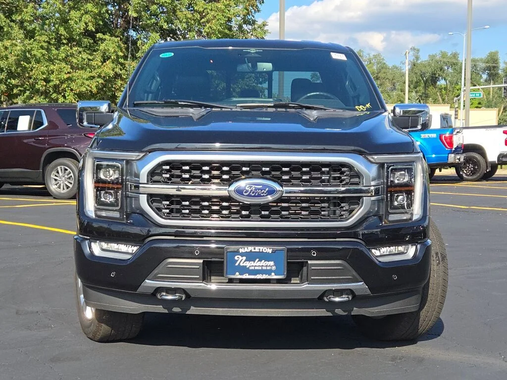 Used 2023 Black Ford Platinum image 4