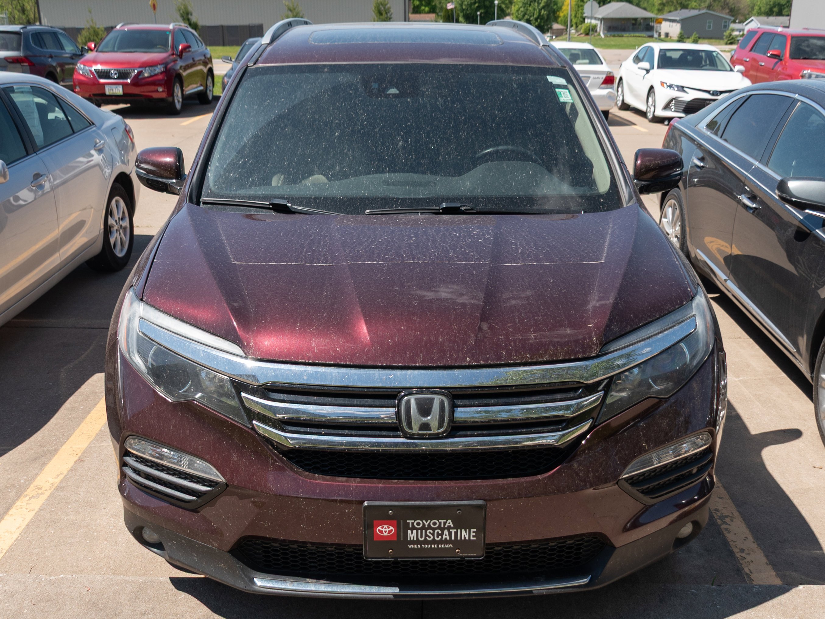 Used 2017 Maroon Honda Elite image 3