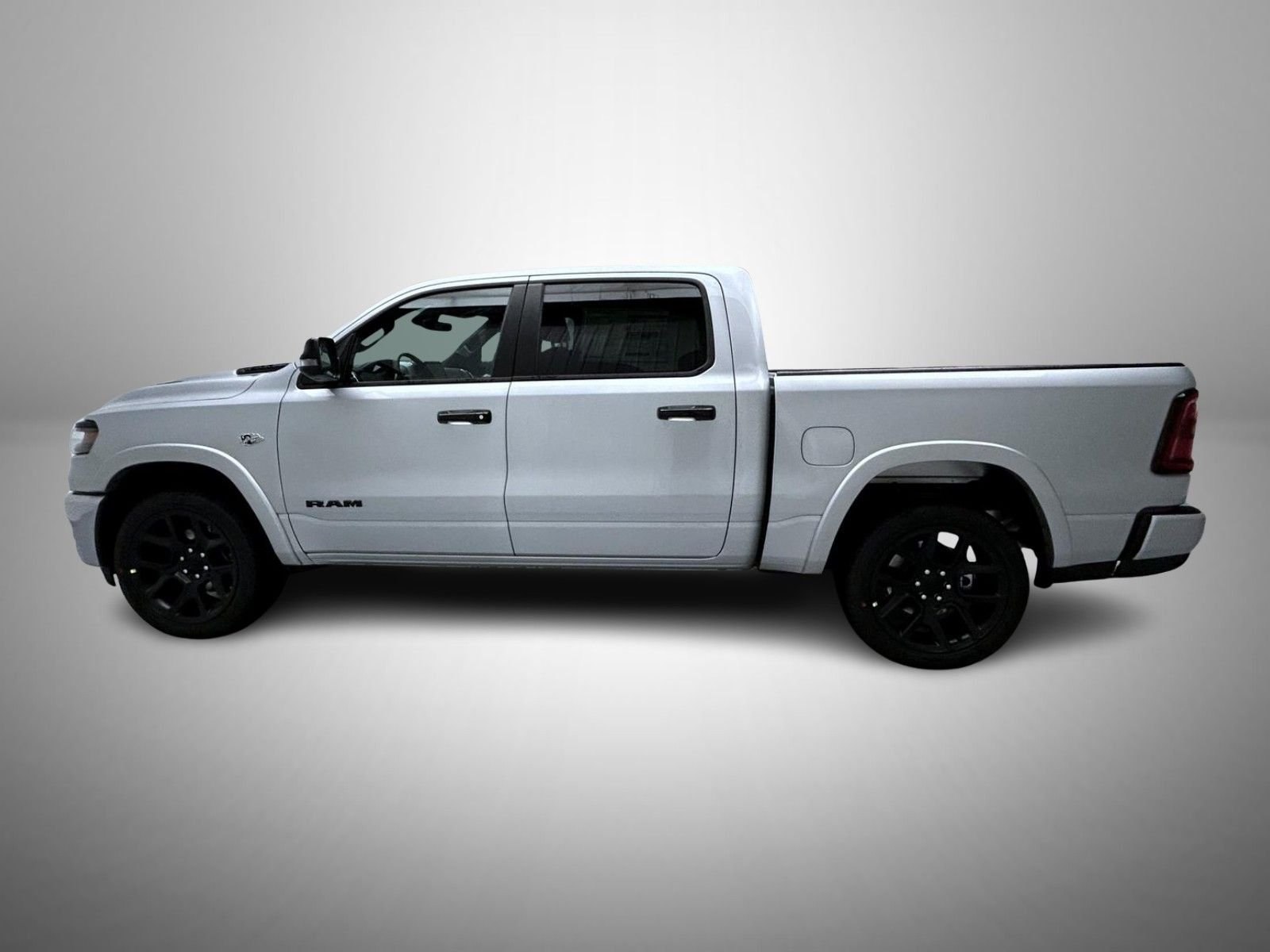 New 2026 Silver Zynith Exterior Paint RAM Laramie image 8