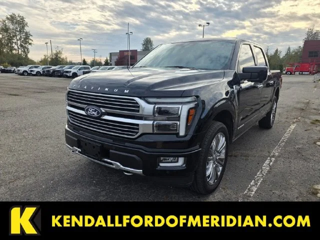 Used 2024 Black Metallic Ford Platinum image 1
