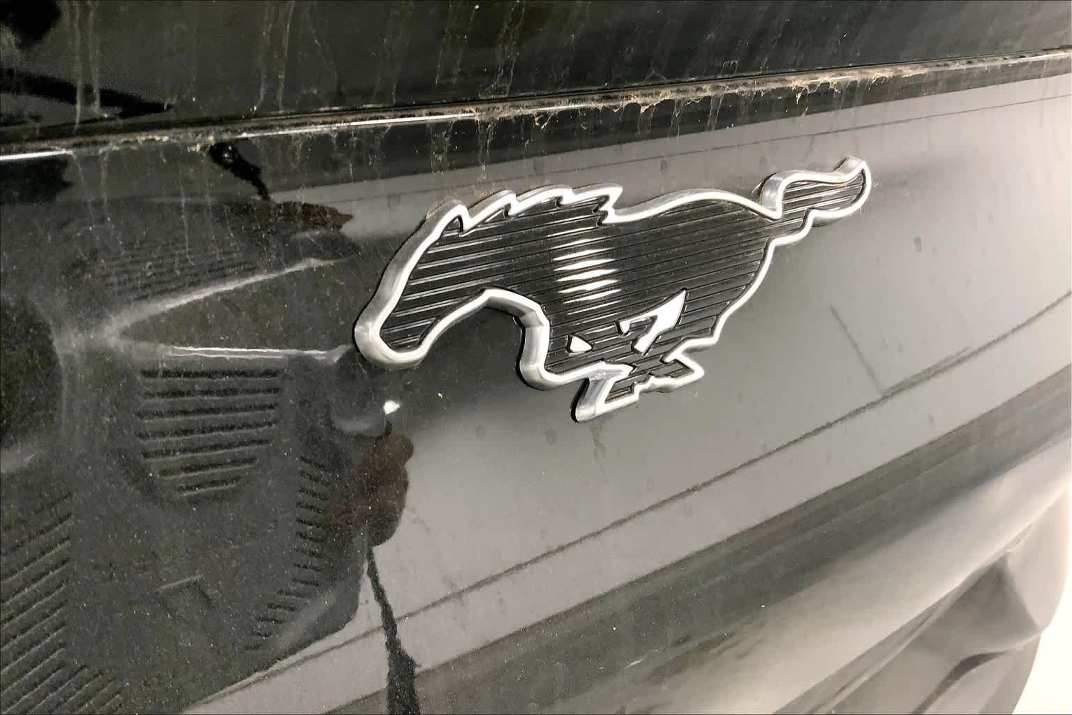 New 2026 Shadow Black Ford Premium image 12