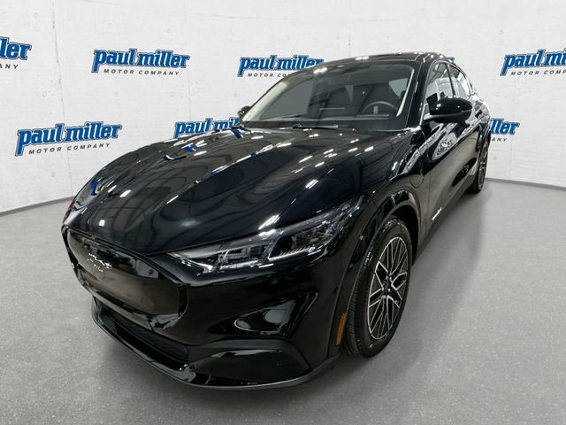 New 2026 Shadow Black Ford Premium image 1