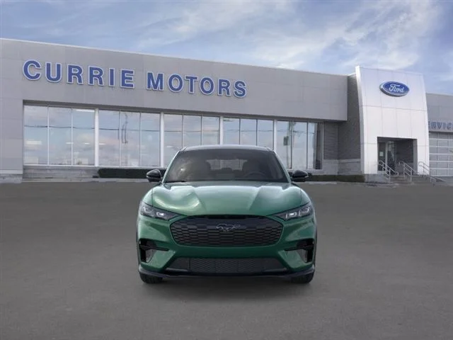 New 2026 Eruption Green Metallic Ford Premium image 28