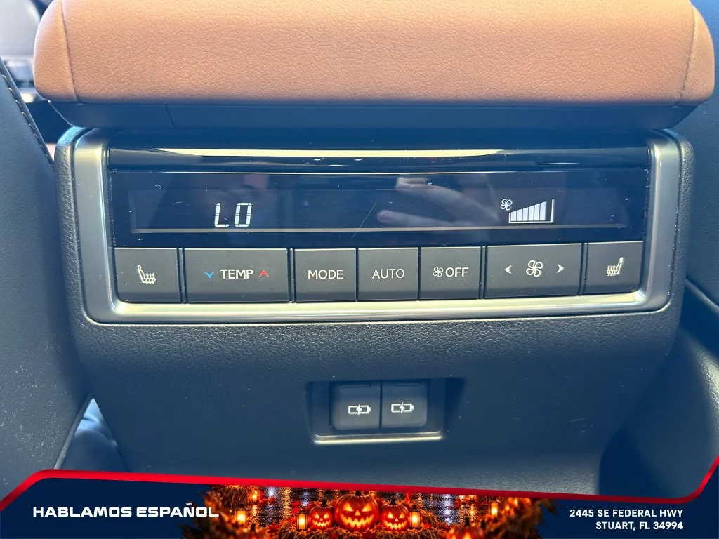 Used 2025 Gray Lexus Luxury+ image 34