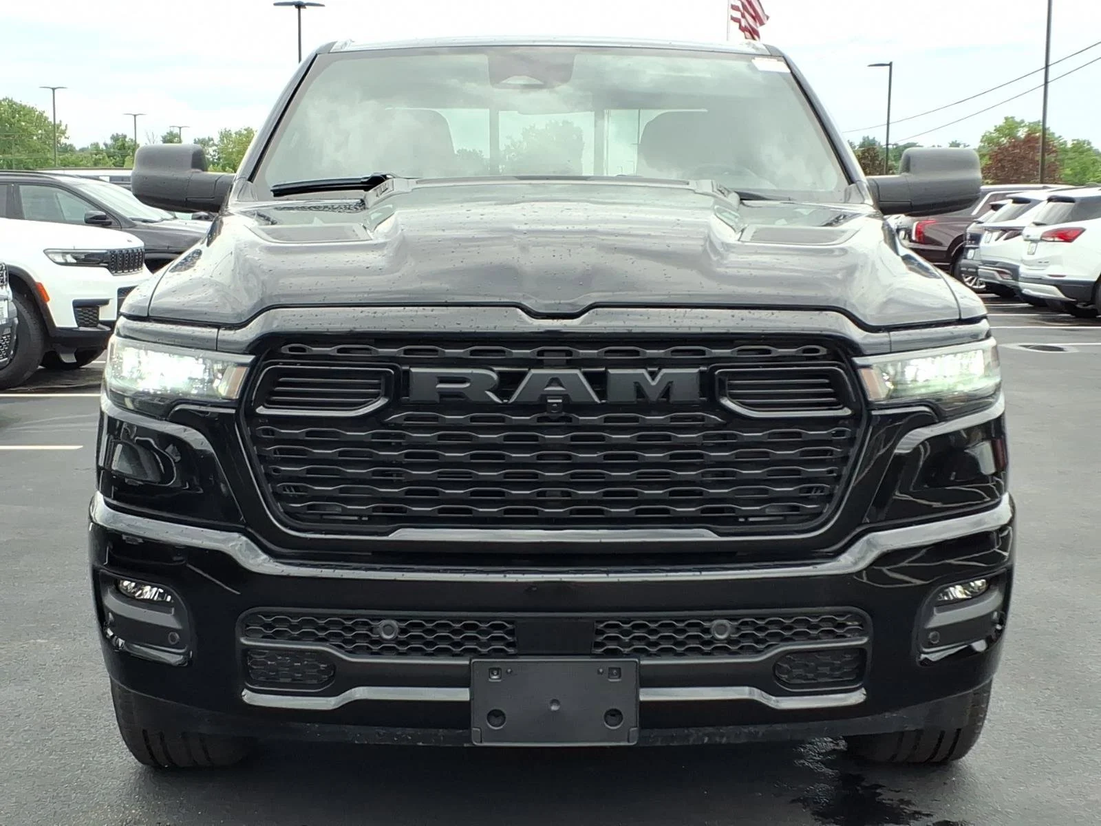New 2026 Diamond Black Crystal Pearl-Coat Exterior Paint RAM Express image 22