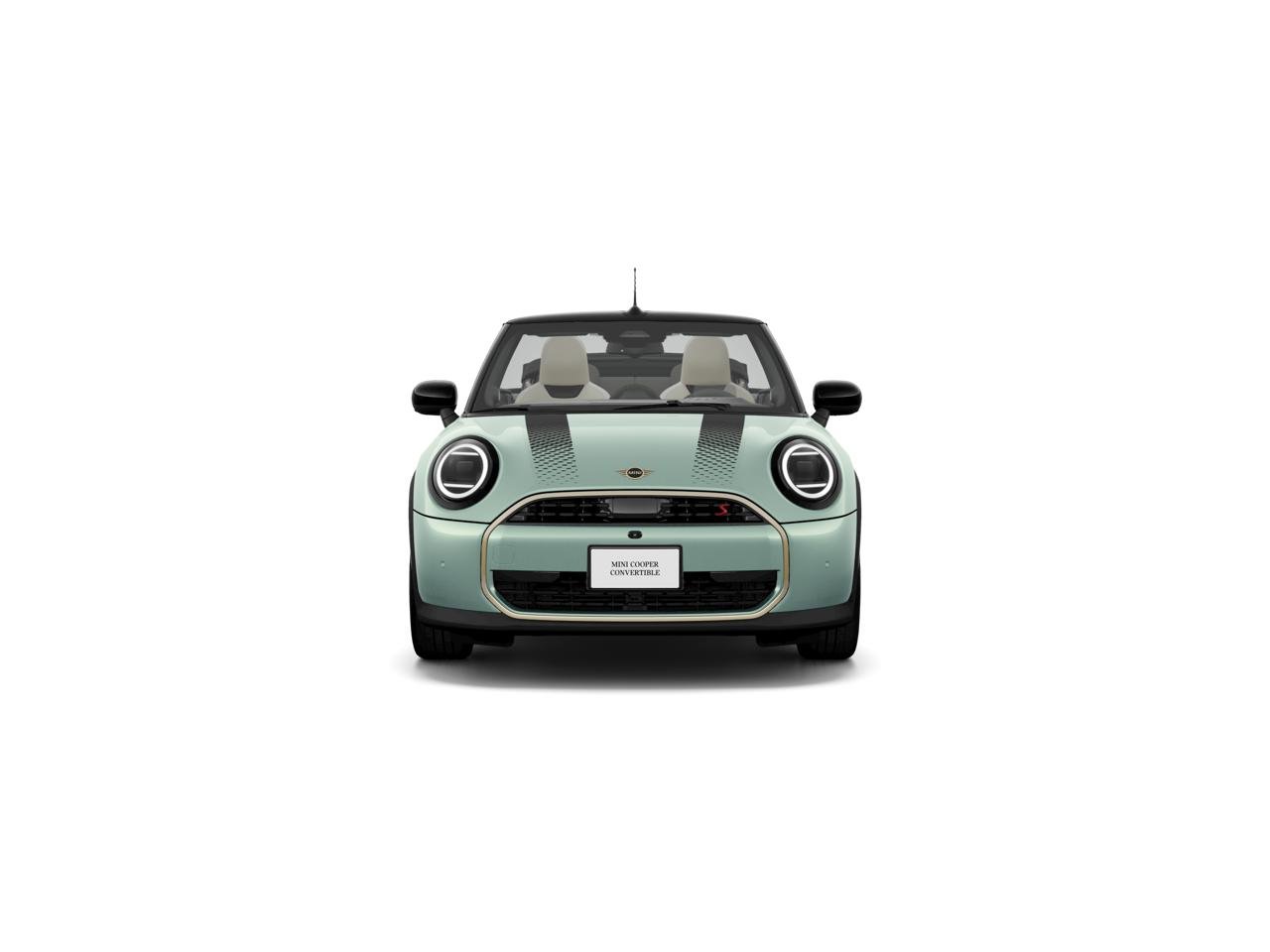 New 2026 Ocean Wave Green Metallic MINI ICONIC image 2